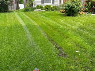 Kevin L.'s lawn care services service result