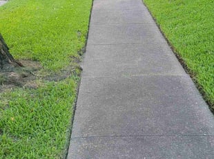 Robert D.'s turf maintenance service result