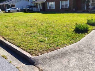 Nosheen H.'s lawn service service result