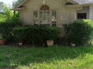 Kuiana M.'s Bush Trimming service result