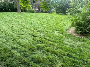 Gopal S.'s lawn service service result