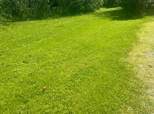 Jeff K.'s lawn care services service result