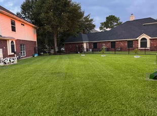 Tamara W.'s turf maintenance service result