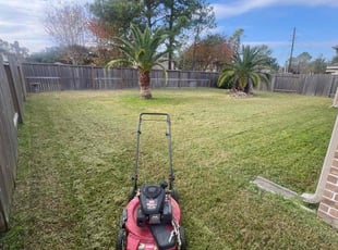 Bernice H.'s lawn care service result