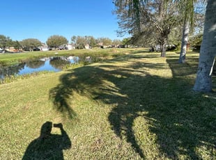June K.'s turf maintenance service result