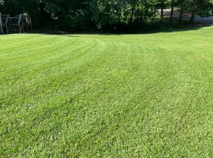 Jamila C.'s turf maintenance service result