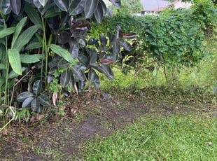 Gary H.'s Leaf Removal service result