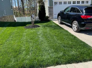 GLORIA C.'s grass cutting service result