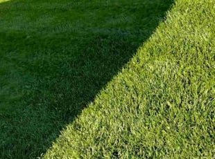 John M.'s grass cutting service result