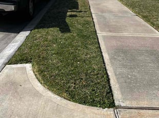 Kari W.'s grass maintenance service result