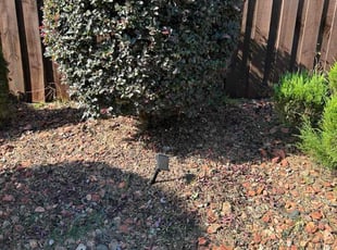 Linda J.'s Bush Trimming service result