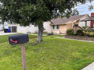 Kathy V.'s turf care service result