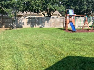 Kenneth T.'s lawn maintenance service result