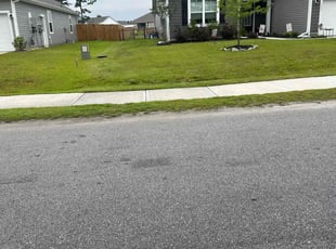 Linda A.'s grass cutting service result