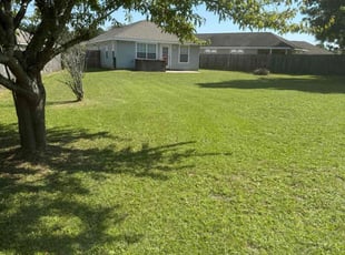 Kaylin S.'s grass cutting service result