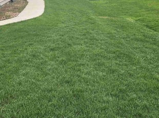 Nancy M.'s lawn care services service result