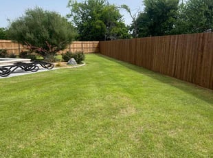 Carlos O.'s grass cutting service result