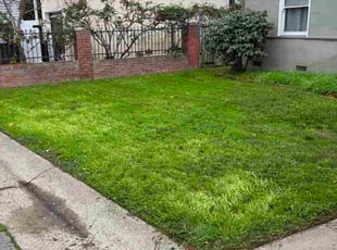 Paul D.'s lawn care services service result