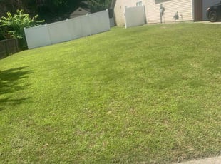 Michael P.'s turf care service result