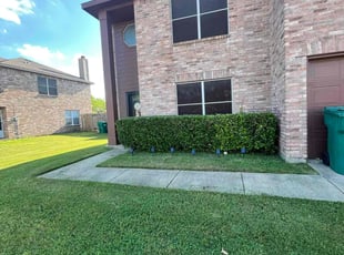 Christy R.'s Bush Trimming service result