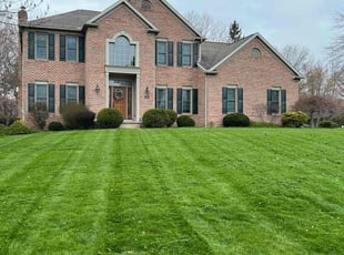 Lisa T.'s lawn care services service result