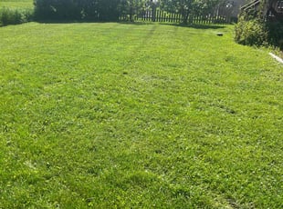 John D.'s lawn care services service result