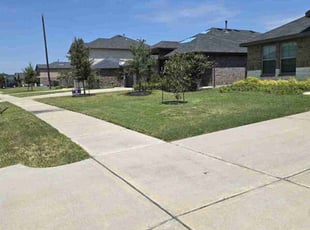 Ian F.'s lawn care service result