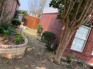 Noreen C.'s Bush Trimming service result