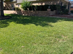 Harry W.'s lawn care services service result