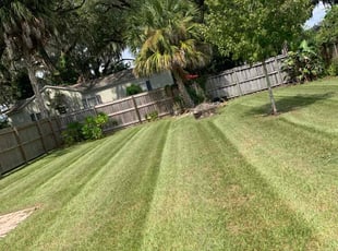 Jennifer B.'s grass cutting service result
