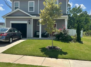 Frederick F.'s lawn maintenance service result