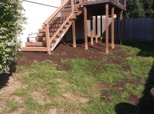 Mandy S.'s Bush Trimming service result