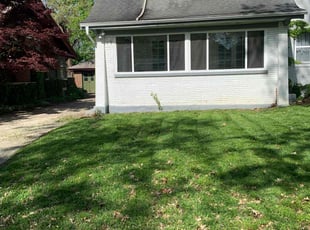 Will M.'s grass cutting service result