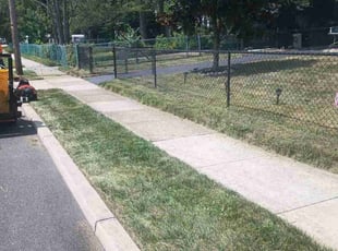 Robert B.'s grass maintenance service result