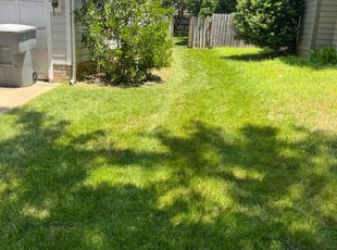 Kiana B.'s lawn care services service result