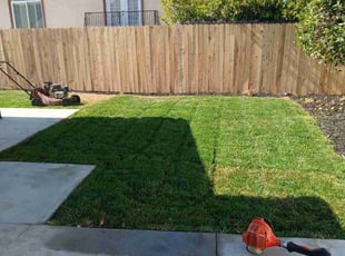 Jacob S.'s turf maintenance service result