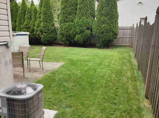 Marcin P.'s lawn care services service result