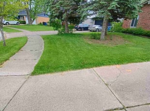 Raechel W.'s turf care service result