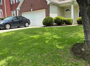 Phillip N.'s lawn maintenance service result