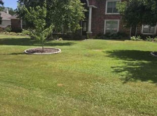 Nicole G.'s lawn care services service result