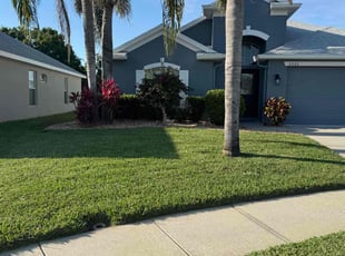 Zili W.'s turf care service result