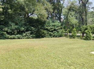 Roger W.'s lawn service service result