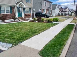 Jim K.'s turf maintenance service result