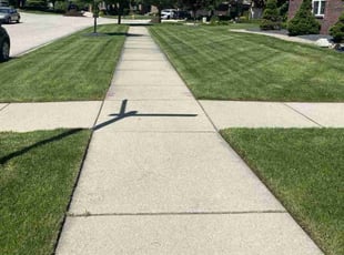 Tracey C.'s yard care service result