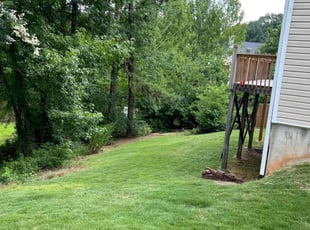 Zelene D.'s grass cutting service result