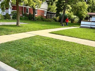 Mark L.'s turf care service result