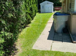 X D.'s lawn service service result