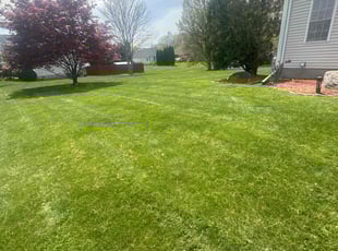 Sara W.'s grass cutting service result