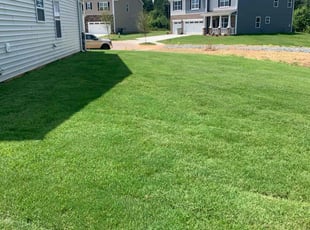 Luvinia D.'s turf maintenance service result