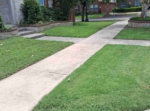 Ronald T.'s landscaping services service result